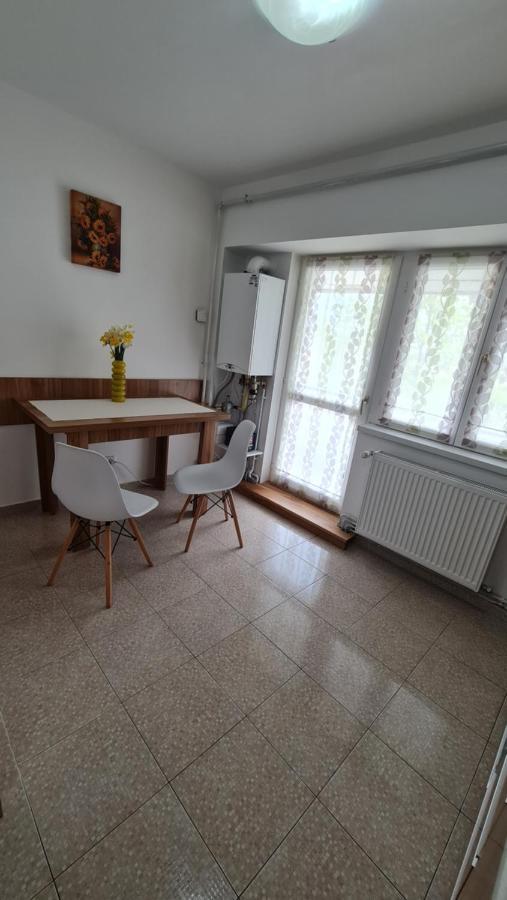 Vs Central Apartment Otopeni Exterior photo